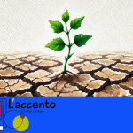 assistenza domiciliare lavoro
